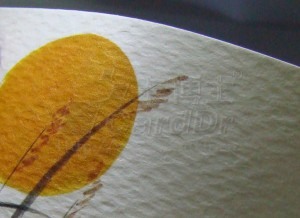 C007